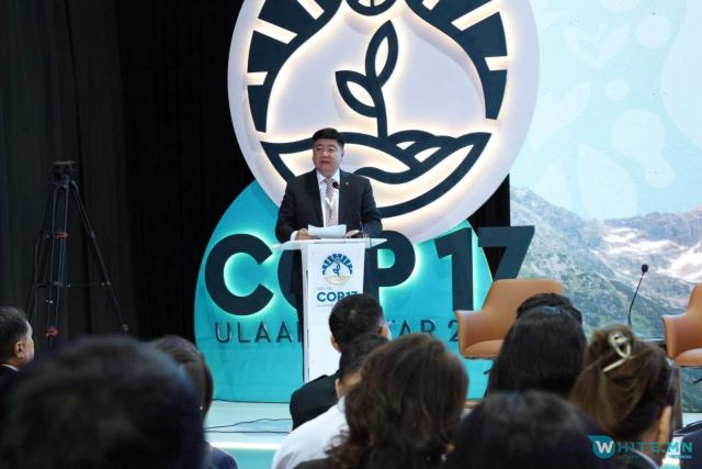 #COP17: БОГДХАН УУЛЫН АН АМЬТАДЫГ ХАМГААЛАХ ЗОРИЛГООР ЭКОЛОГИЙН ГАРЦ БАЙГУУЛАХ САНАМЖ БИЧИГ БАЙГУУЛЛАА🇲🇳