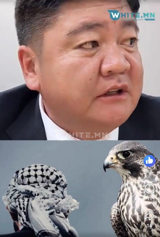 БОУАӨ-ИЙН САЙД Б.САНДАГ-ОЧИР: Шонхор шувууны асуудал, монгол залуу амиа алдсан талаар мэдээлэл авсан. Гэхдээ шүүхийн шийдвэр гараагүй байхад хэн нэгнийг буруутгаж, цоллож ерөөсөө болохгүй